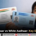 Blue Aadhaar vs White Aadhaar: Key Rules, Biometric Updates and 2026 Enrolment Update