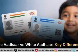 Blue Aadhaar vs White Aadhaar: Key Rules, Biometric Updates and 2026 Enrolment Update
