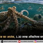 इटली में ब्लू क्रैब का आतंक, 1.30 लाख ऑक्टोपस समुद्र में छोड़े गए
