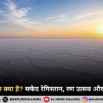 रण ऑफ कच्छ क्या है? सफेद रेगिस्तान, रण उत्सव और पूरी जानकारी