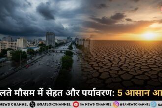 बदलते मौसम में सेहत और पर्यावरण 5 आसान आदतें