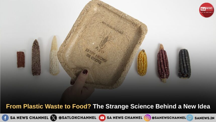 Plastic Waste to Food The Science Behind New Idea