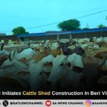 Sant Rampal Ji Maharaj Sanctions Cattle Sheds in Beri Jhajjar