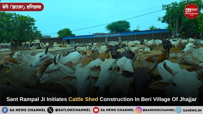 Sant Rampal Ji Maharaj Sanctions Cattle Sheds in Beri Jhajjar