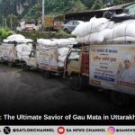 Sant Rampal Ji Maharaj: The Ultimate Savior of Gau Mata in Uttarakhand and Haryana