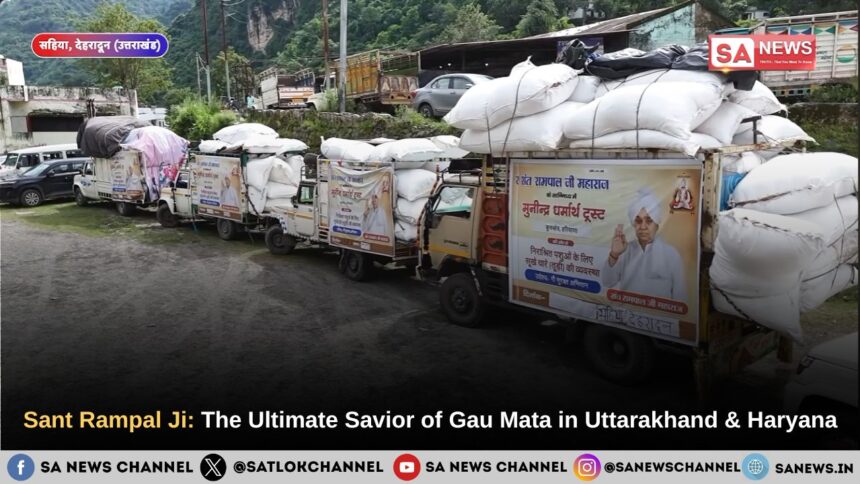 Sant Rampal Ji Maharaj: The Ultimate Savior of Gau Mata in Uttarakhand and Haryana