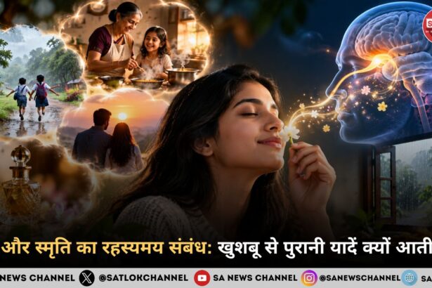 गंध और स्मृति का रहस्यमय संबंध: खुशबू से पुरानी यादें क्यों आती हैं 