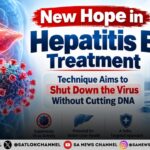 New Hope in Hepatitis B Treatment