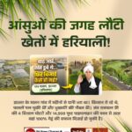 😎 पैट कमिंस - ShareChat